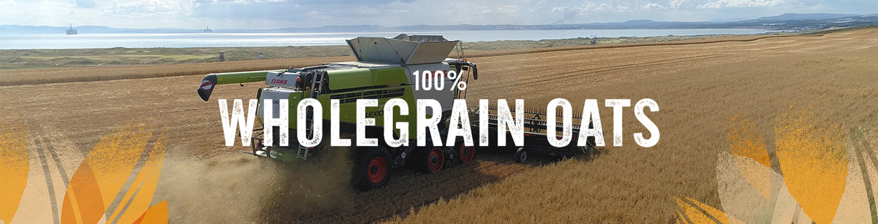 100% Wholegrain oats